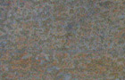 Schieferplatten Rusty